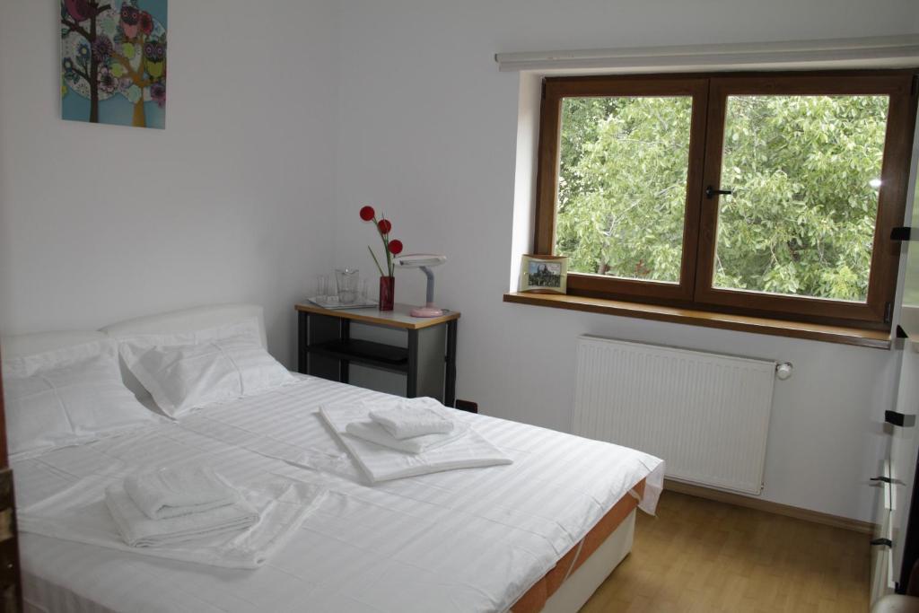 Villa Zorba Bucharest Room photo
