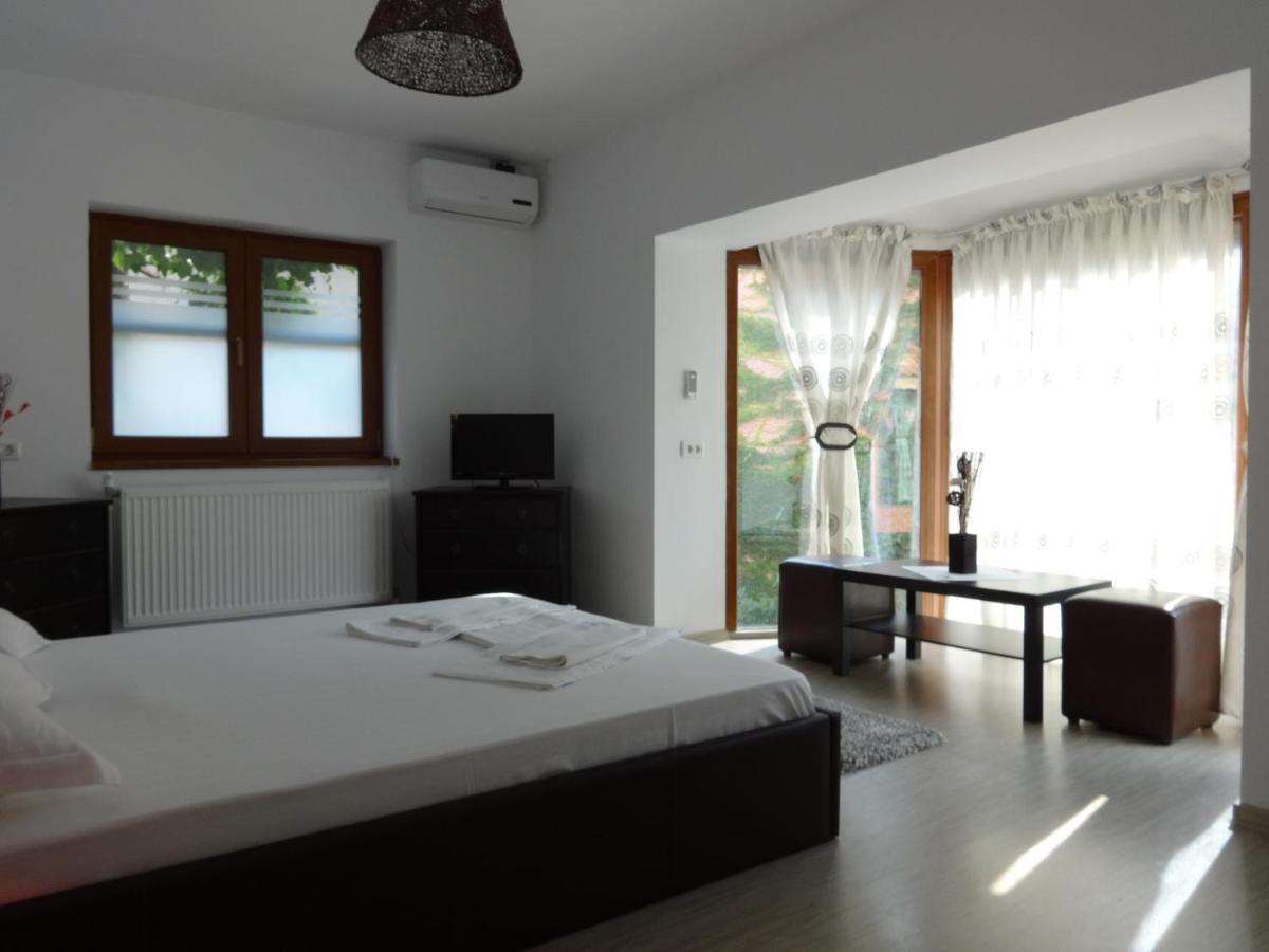 Villa Zorba Bucharest Room photo
